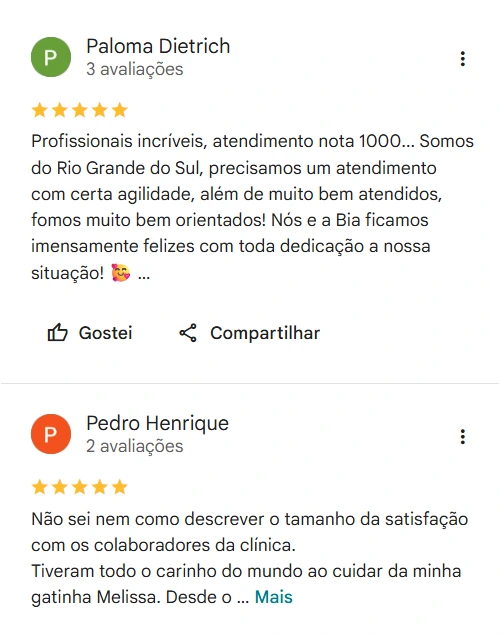 Avaliação real de tutor sobre a SOS Vet